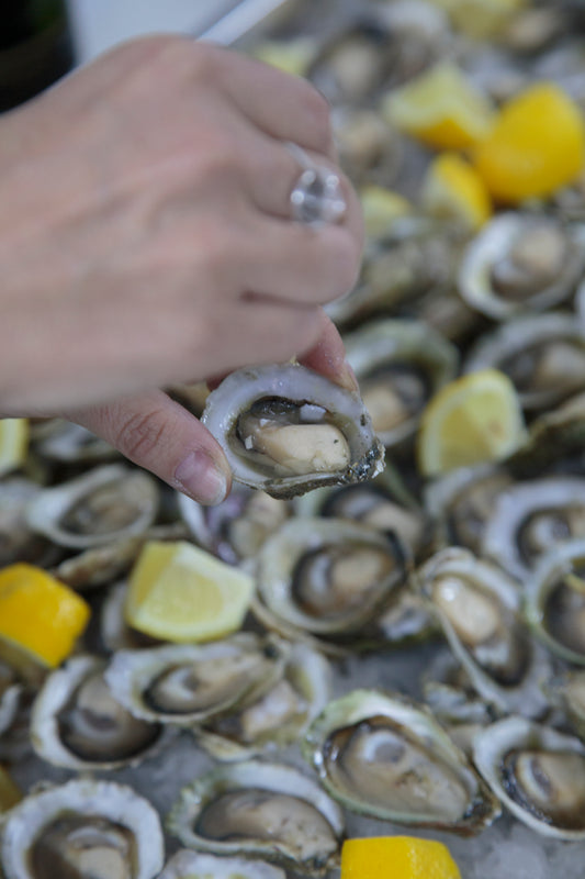 Ostras Fescas Chilenas de Chiloé 50 unidades